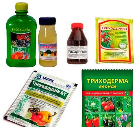 Без каких препаратов не могут обойтись огородники - Голос роз