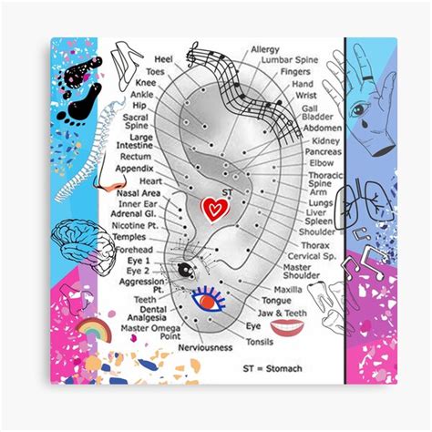 Reflexology Pressure Points Ear Chart Artistic Rendition Metal Print For Sale By Swaggaville