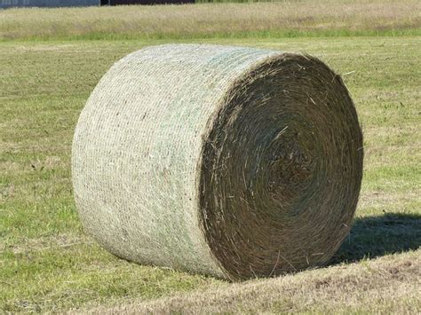 Hay Bale Grass Free Photo On Pixabay Pixabay