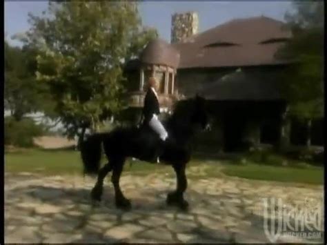 Stormy Daniels Porn Videos Porn Star Sex Scenes Xhamster