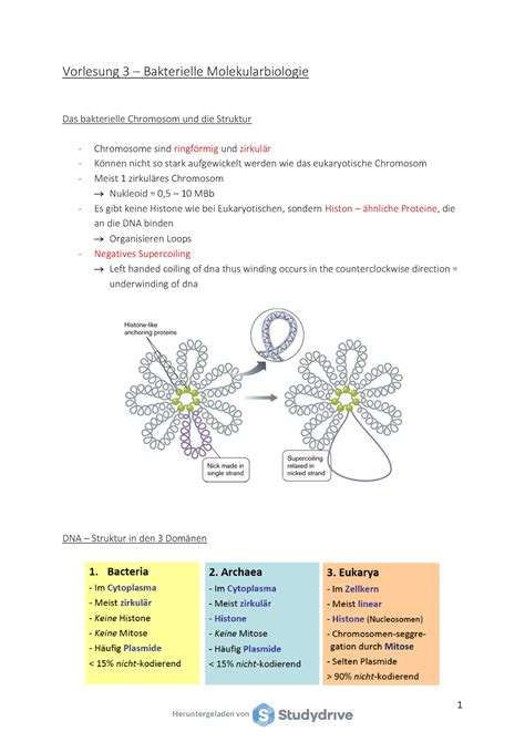 MB2 Mikrobiologie Vorlesung 3 Bakterielle Molekularbiologie Das