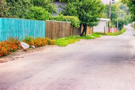 Зеленая трава растет на конце асфальта вверх Стоковое Фото ...