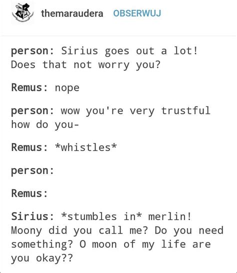 Pin By Ana On Z Fanart Marauders Gay Harry Potter Harry Potter Funny Harry Potter Headcannons