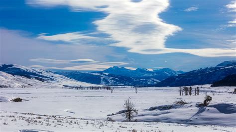 Fotos gratis paisaje naturaleza bosque desierto montaña nieve