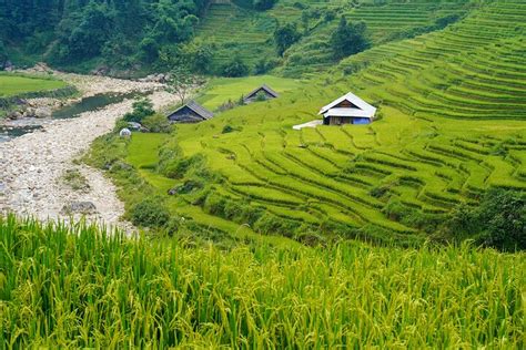 Sapa Trekking Homestay Tage N Chte Abfahrt Von Hanoi