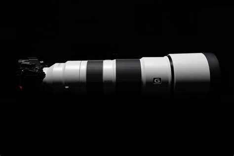 Sony 200-600mm review