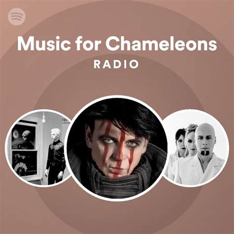 Music for Chameleons Radio - playlist by Spotify | Spotify