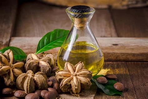 Масло инка инчи: полезные свойства и противопоказания