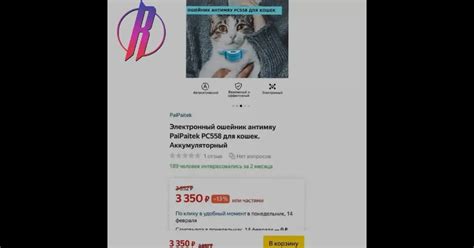 Петиция «Запретить электрические ошейники для животных в России!»