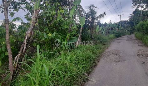 Jual Tanah Kebun Di Pesawaran Harga Terbaru