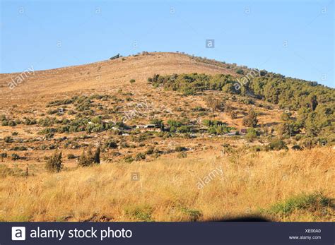 mount gilboa stock  mount gilboa stock images alamy