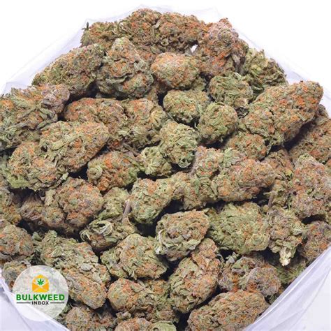 Alaskan Thunder Fuck AAA Cheap Weed Bulkweedinbox