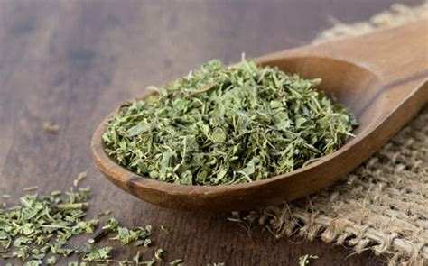 Вербена от вампиров