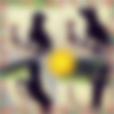 Солнечные собаки СТАФФИ БАЛТИК ПРАЙД ГРЕЙСИ | Павел Павлик | ВКонтакте