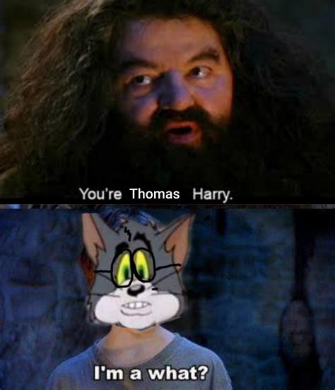 harry potter x tom and jerry crossover : r/TomAndJerryMemes