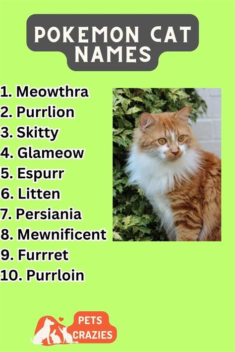 300 Pokémon Cat Names Trendy Selections