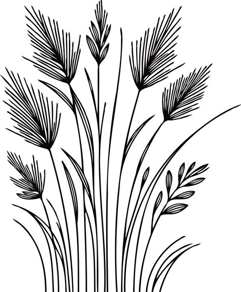 outline floral drawing of meadow grasses, stems, herbaceous flowers