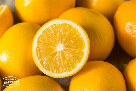 Meyer Lemons - 1lb | Daily Harvest Express