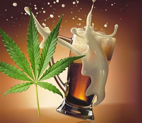 Brewing Beer From Cannabis Tetrahydrocannabinol