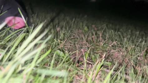 Free Slut Load Porn Videos Xhamster