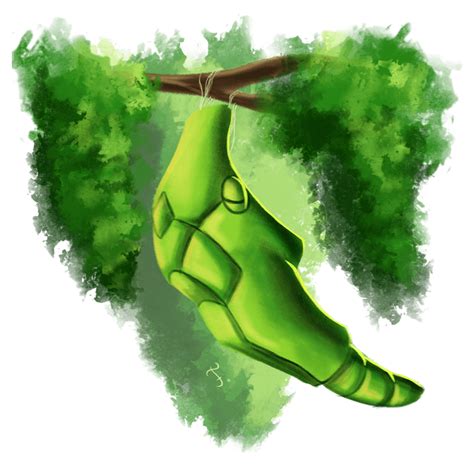 metapod hd wallpapers wallpaper cave