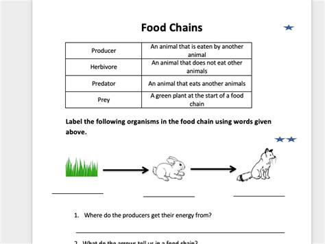 Primary Food Chain Worksheet Teaching Resources Worksheets Library