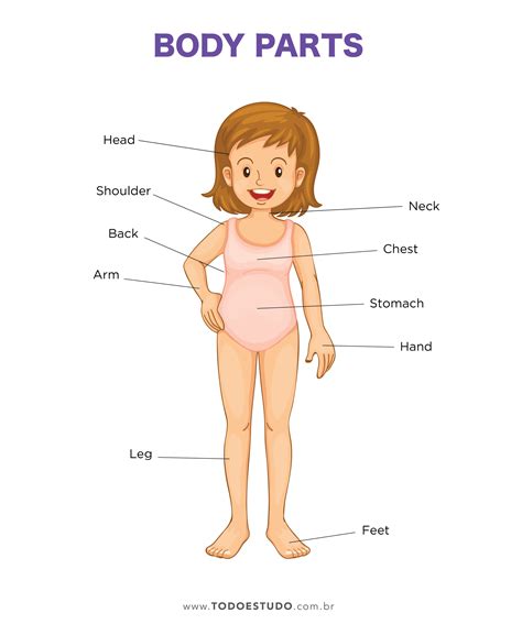 As Parte Do Corpo Em Inglês - 5