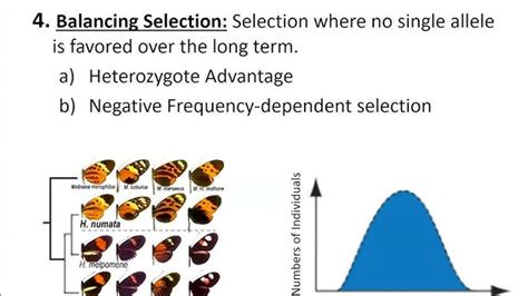 Directional Selection Definition 