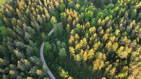 Безкоштовне стокове фото американський пейзаж безкоштовні шпалери безтурботний верхній