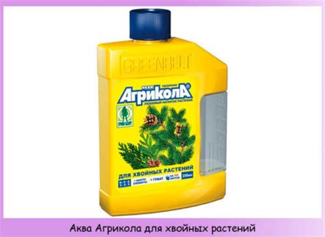 Удобрения для хвойных растений: когда и как вносить, списки, классификации