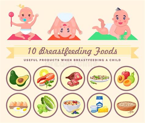 De Onde Vem O Alimento Dos Recém Nascidos - Conjunto De Recém-nascidos Com 10 Alimentos Para Aleitamento E ...