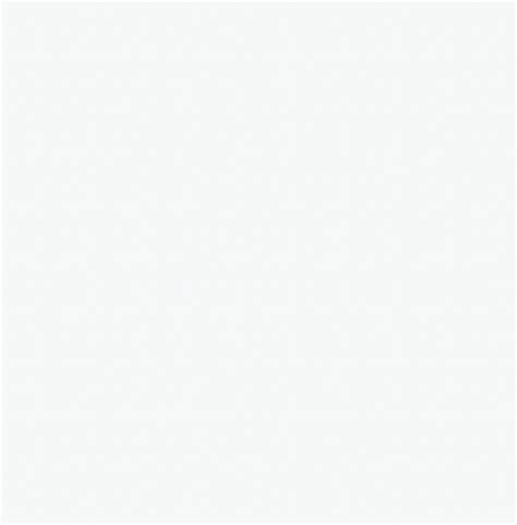 Olympic White Guitar Paint Nitro Lacquer Oxford Guitar Supply