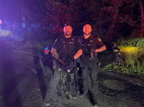 Thurston County K9 Successfully Tracks Two Suspects The Daily Chronicle