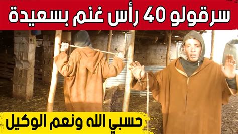 عصــابة تستغل الظروف المناخية بسعيدة لسرقة 40 رأس غنم Youtube