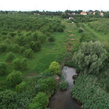 Dekontaminace | Dekonta