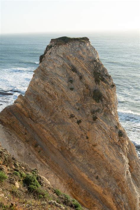 soil marking a marine terrace (vertical) – Geology Pics