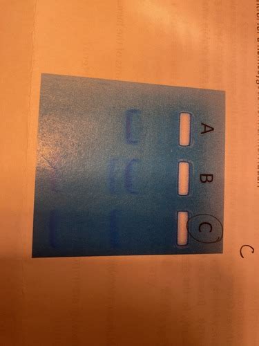 Practical 2 Bio Lab Flashcards | Quizlet