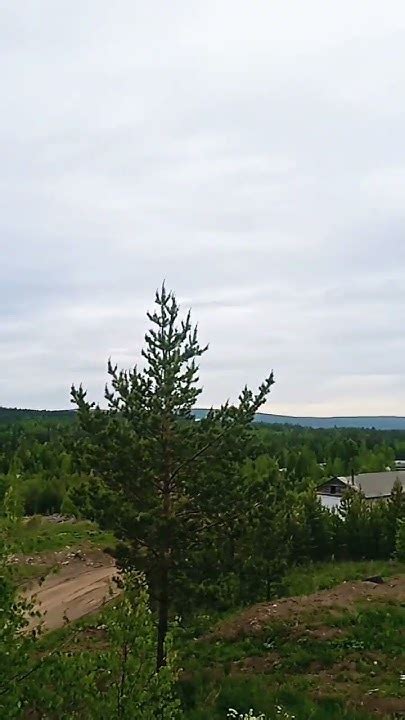 Номоз - YouTube