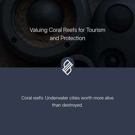 Valuing Coral Reefs for Tourism and Protection → Scenario