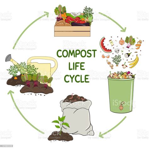 Compost Life Circle Infographic Composting Process Schema Of Recycling