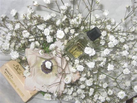 Turaidas Roze (Турайдская Роза) Dzintars perfume - a fragrance for ...