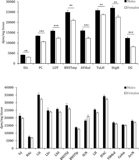 Figure 2 From Vasopressin And Oxytocin Receptor Systems In The Brain