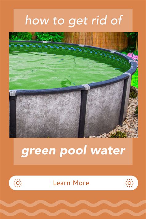 An Above Ground Pool With The Text How To Get Rid Of Green Pool Water