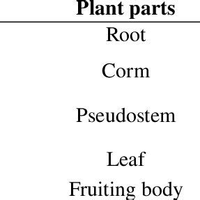 Pdf Morphological And Molecular Identification Of Fungi Associated