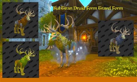 Kul Tiran Human Druid Forms: 8 Terrifying shapes will Blow Your Mind ...