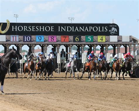 Racing analysts explain entries for aqueduct statistics for new fans 3