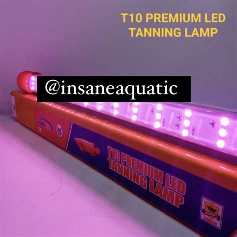 Jual LAMPU LED TANNING ARWANA PREMIUM T10 600 AQUARIUM AQUASCAPE SAKKAI