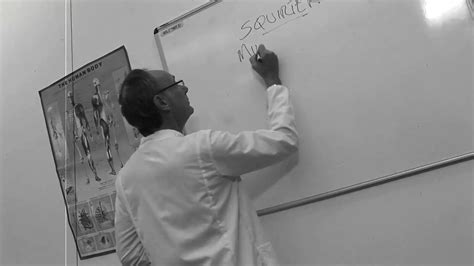 Brunette MILF Warms Up With A Magic Wand Before Riding Cock Blowjob Blowjob Porn XHamster