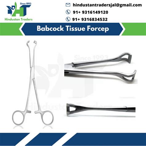 Stainless Steel Chrome Finish Babcock Tissue Forcep Size Dimension