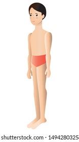 Full Lenght Profile Standing Naked Man Stock Vector Royalty Free Shutterstock